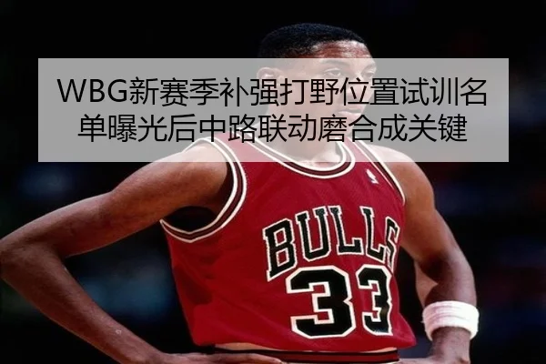 WBG新赛季补强打野位置试训名单曝光后中路联动磨合成关键