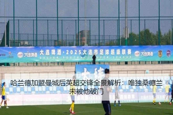 哈兰德加盟曼城后英超交锋全景解析：唯独桑德兰未被他破门